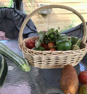 basket of garden fresh vegetables