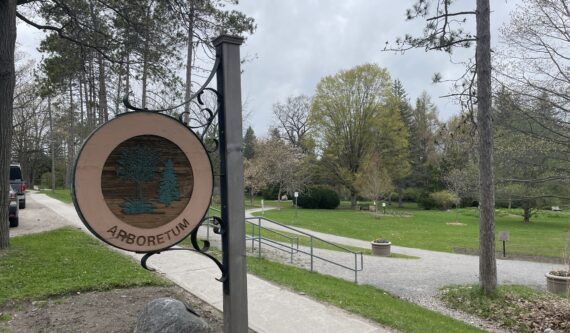 Arboretum Sunnidale garden Barrie Ontario